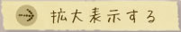 拡大表示する